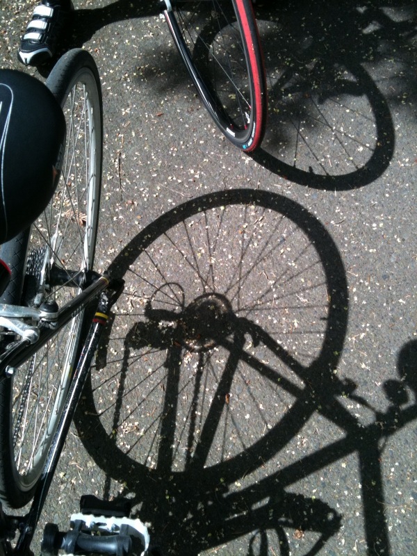 bikes