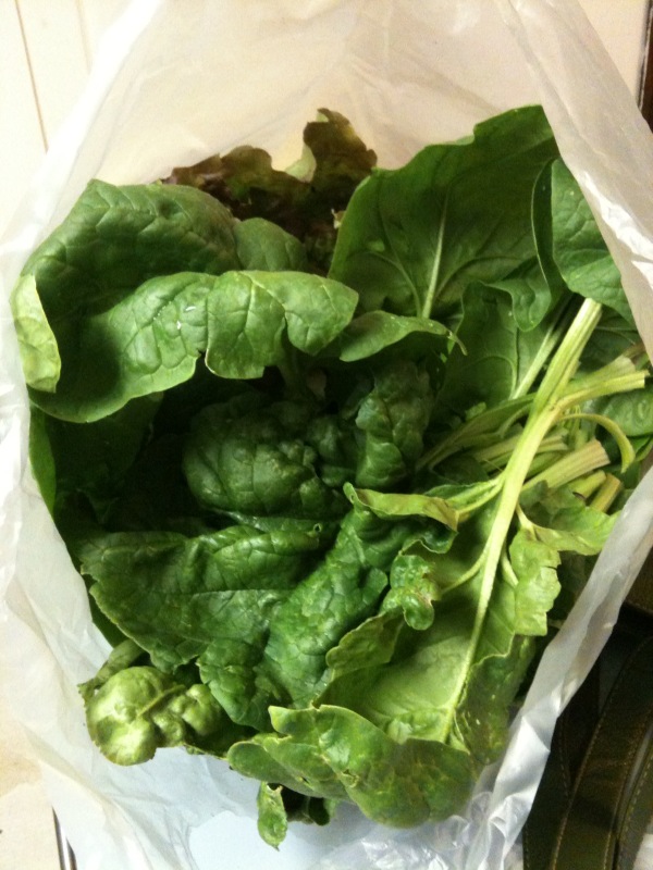 lettuce