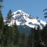 IMG_9461