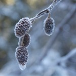 IMG_3368