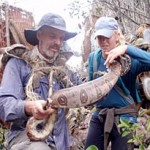 out-of-the-wild-episode-guide-324x205