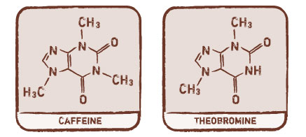 chemical