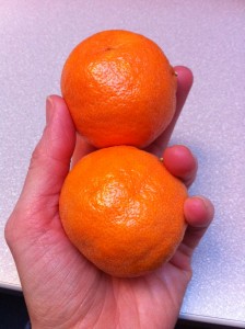 satsuma